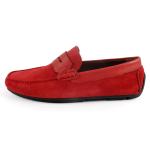 Ibis Daim Rouge
