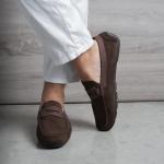 Verdin Daim Marron
