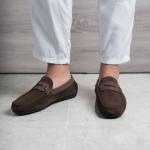 Verdin Daim Marron