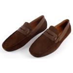 Verdin Daim Marron